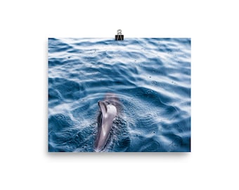 Dolphin in the Ocean Print