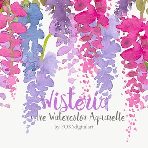 Watercolor Flowers Wisteria Clipart, Aquarelle Floral Set, Watercolor Wisteria, Leaves, Branches, Twigs, Watercolor Clipart, Wedding Clipart
