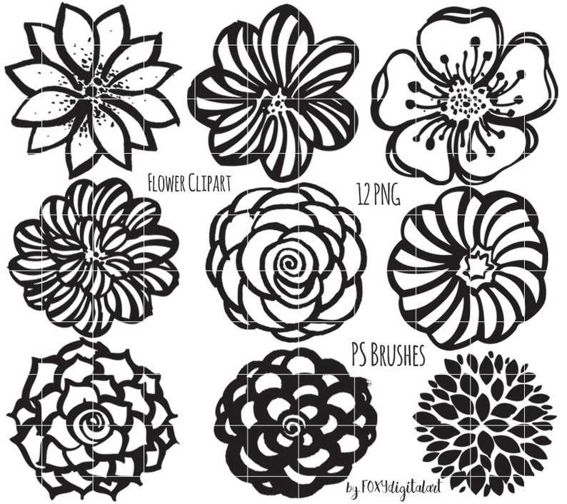 Clipart de fleurs, à la main de contour fleur dessinée, timbre numérique Silhouette PNG, Photoshop Brush, fleur Doodles image 2