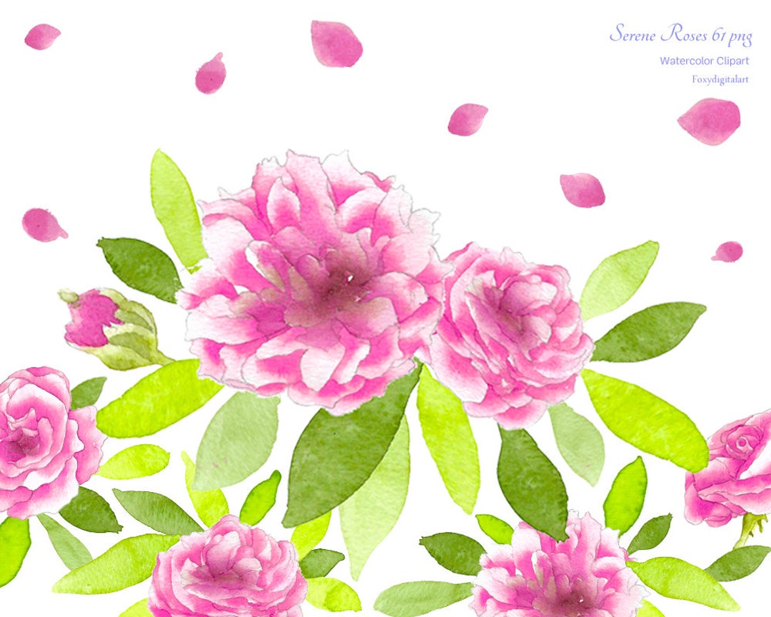 Pink Roses Watercolor Flowers Wedding Floral Wreaths Clipart Spring ...