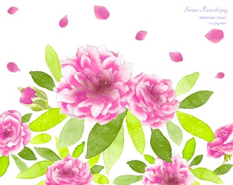 Rosa Rosen Aquarell Blumen Hochzeit Blumenkränze Clipart Frühling Hochzeitsblumen Hochzeitseinladung Aquarell - Instant Download PNG