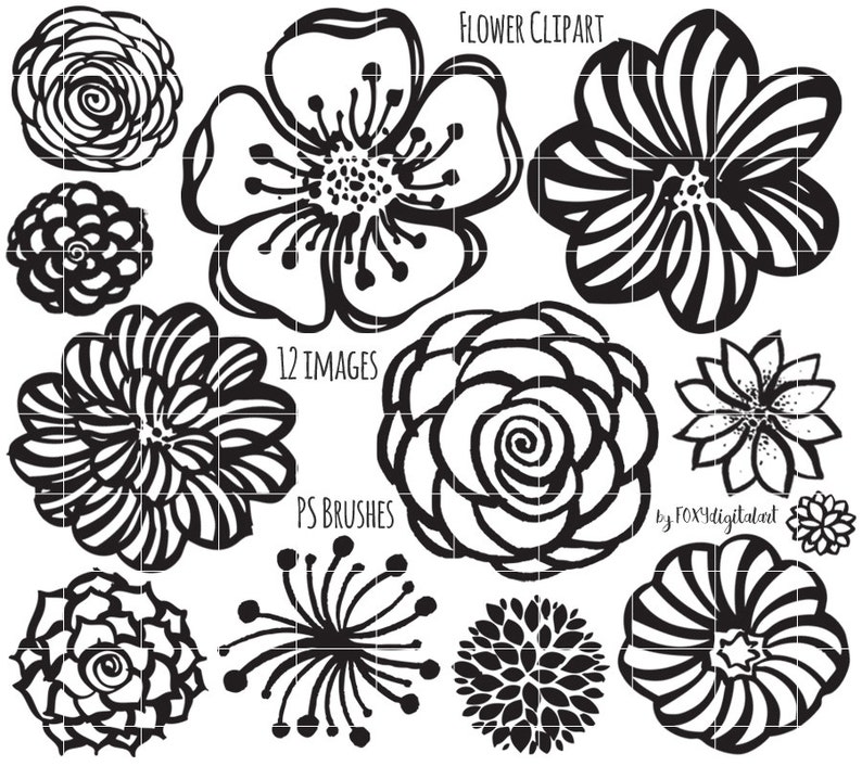 Clipart de fleurs, à la main de contour fleur dessinée, timbre numérique Silhouette PNG, Photoshop Brush, fleur Doodles image 1