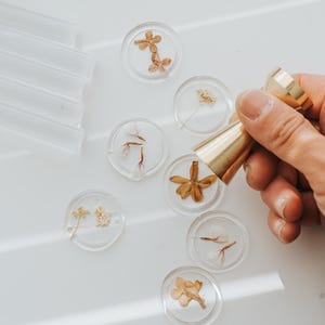 Clear wax seals with dried flowers and a gold-colored wax stamp. The seals are round and contain various dried floral elements. A hand holds the wax stamp, ready to create impressions.