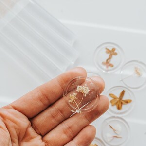 Clear wax seals with dried flowers encased within. One coaster is held in a hand, with others visible. The coasters display different floral designs, offering a natural and botanical theme.