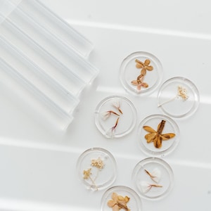 Round clear wax seals, each with a different arrangement of dried flowers in shades of brown, beige, and white. The wax seals are displayed on a white surface. A set of clear wax sealing sticks are in the upper left corner.