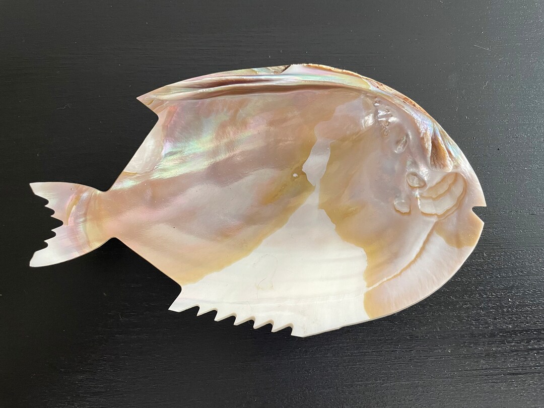 Vintage Abalone Shell Fish Dish - Etsy