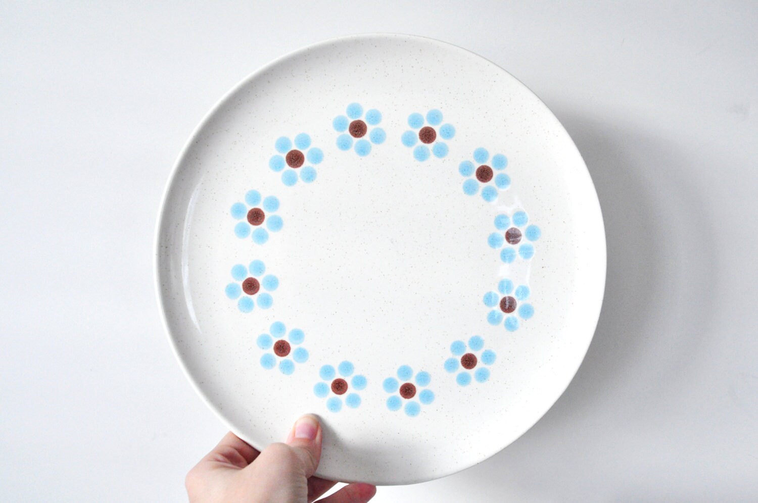 Scandia Nuit Arctique Assiettes, Taylor Smith et Taylor