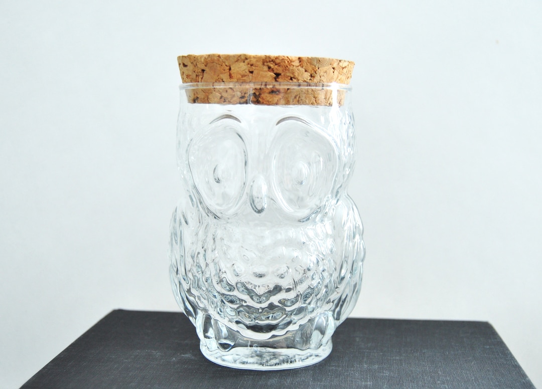 Vintage Glass Owl Jar With Cork Top Etsy