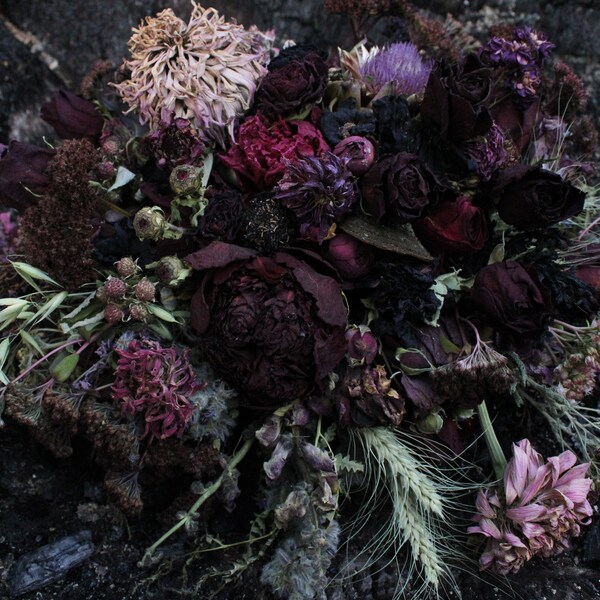 Black Dried Flowers - Etsy