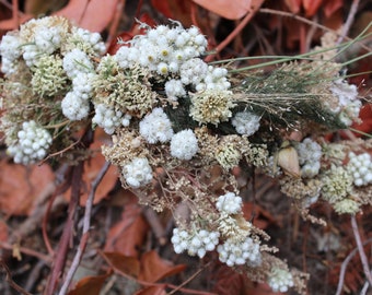 custom bridal crown,dried flower half crown, dried white flower bridal crown, pearly everlasting, wildflower crown, dried flower veil, elope