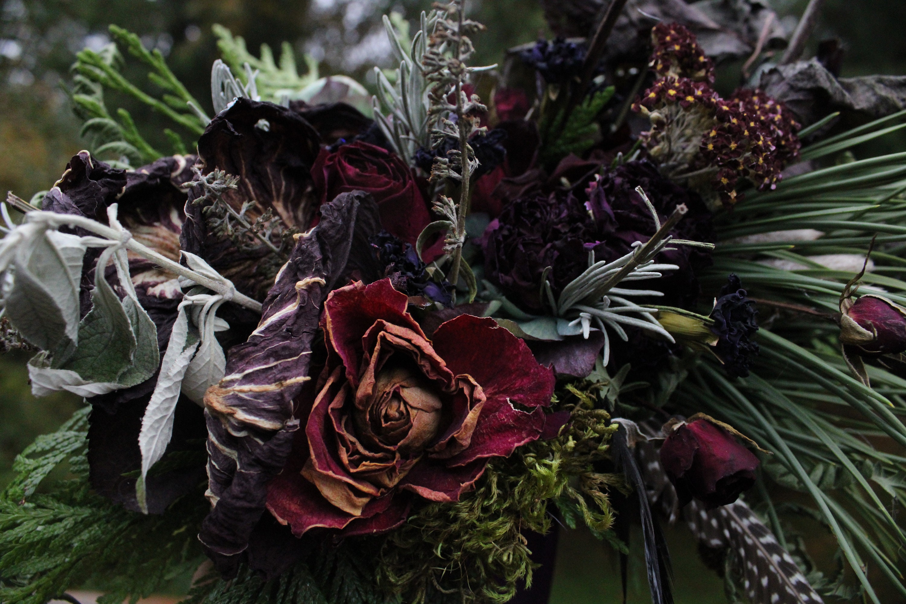 dried purple flowers dried purple flowers