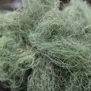 Lichen, woodland lichen, dried floral supply, florist supply, diy wedding flowers, diy woodland wedding, boutonniere, moss, botanicals, eco