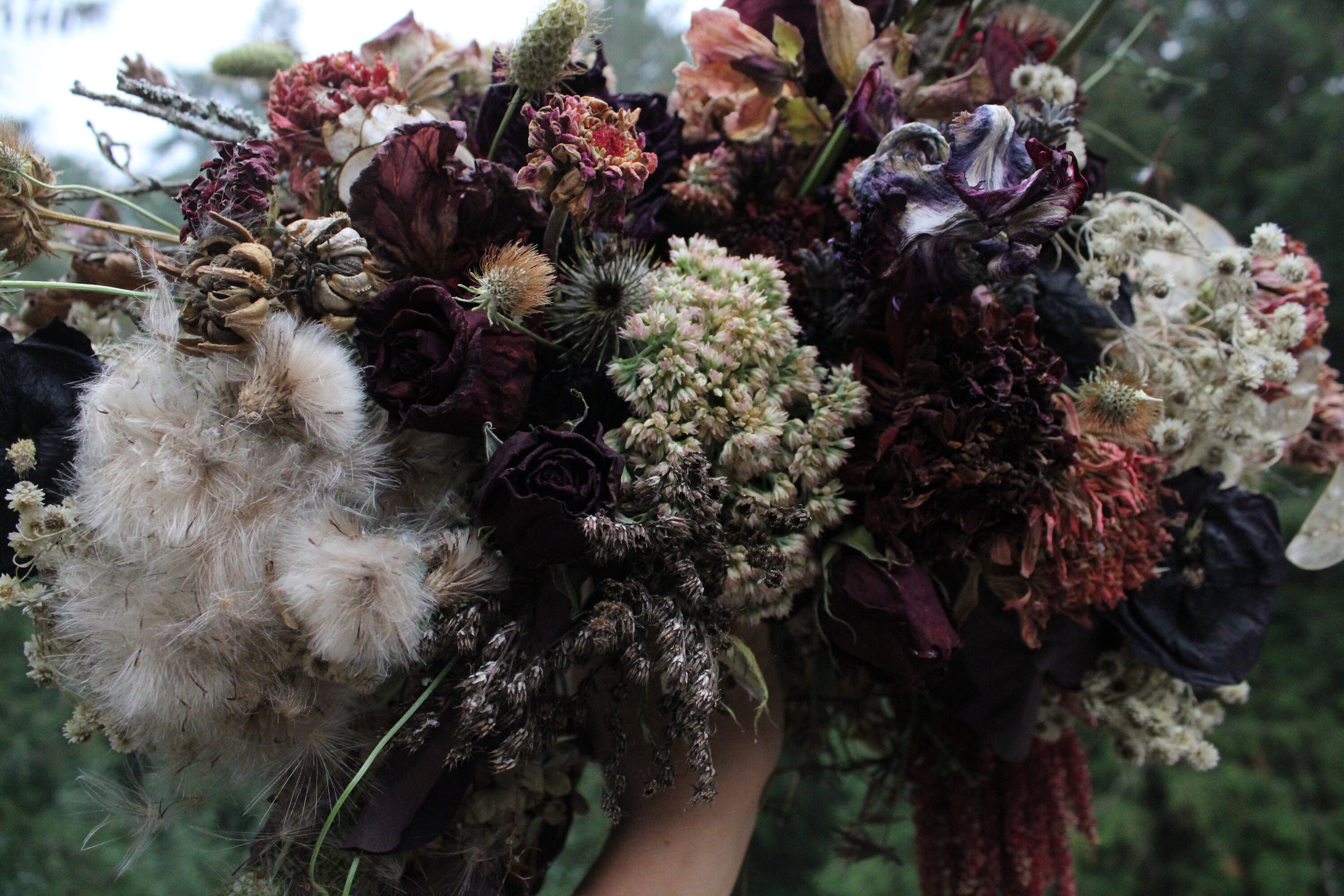 Dried flower bouquet burgundy bridal bouquet dark purple and Etsy