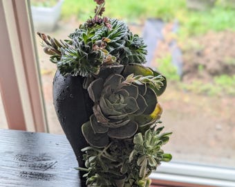 Een trapsgewijze succulente pot, geeft het uiterlijk van je vetplanten die als een waterval naar beneden stromen