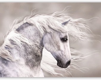 The Wild White Stallion Horse Canvas Wall Art, Ready to Hang! Made in the USA, Makes a Perfect Gift for any Occasion!