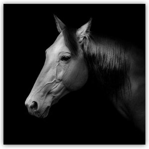 Studio 500 Canvas Wall Art (32&quot;w x 32&quot;h x 1.5&quot;d) The Russian Trotter Race Horse