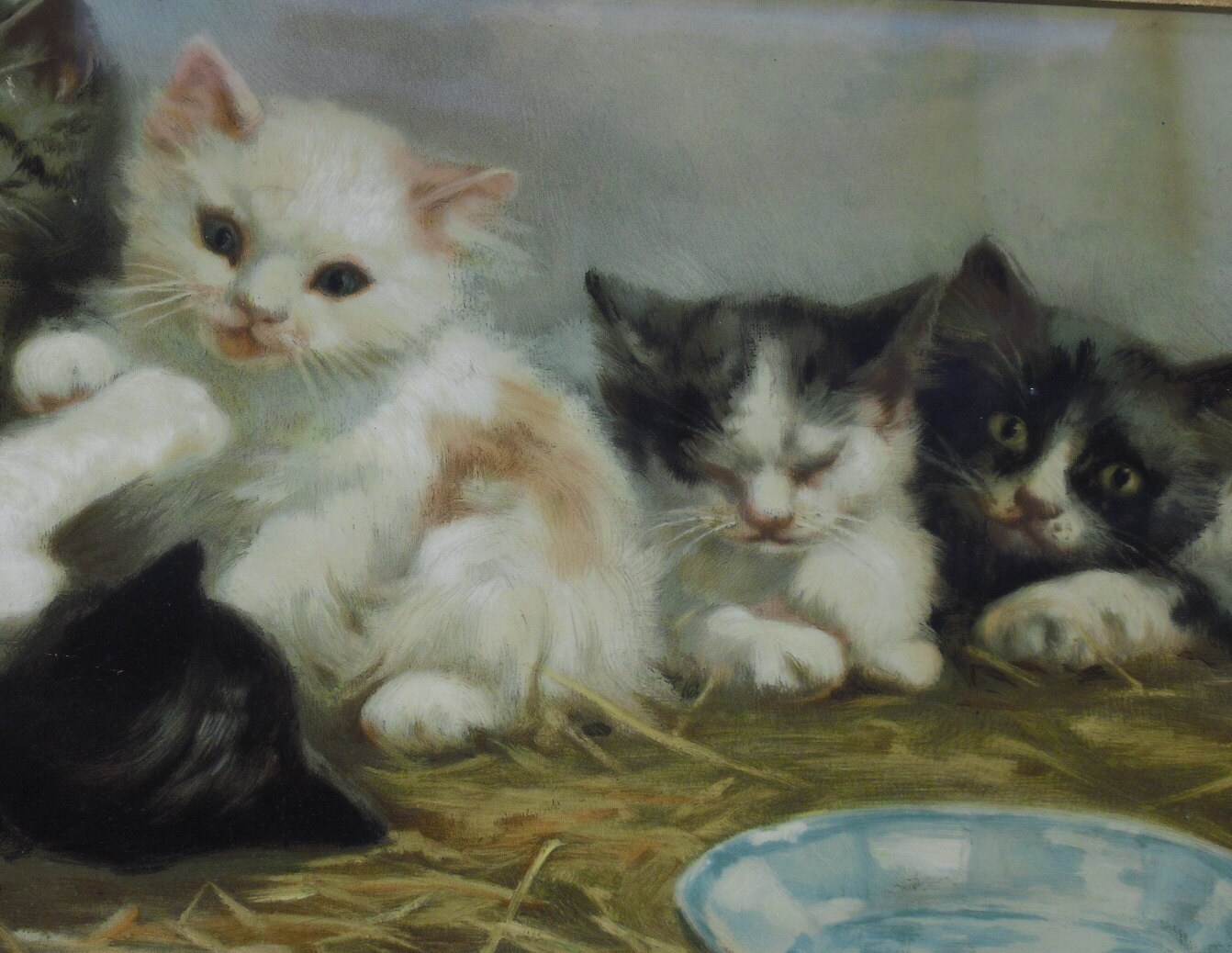 RESERVED 1892 Victorian Cat print 3/4 yard long The Etsy