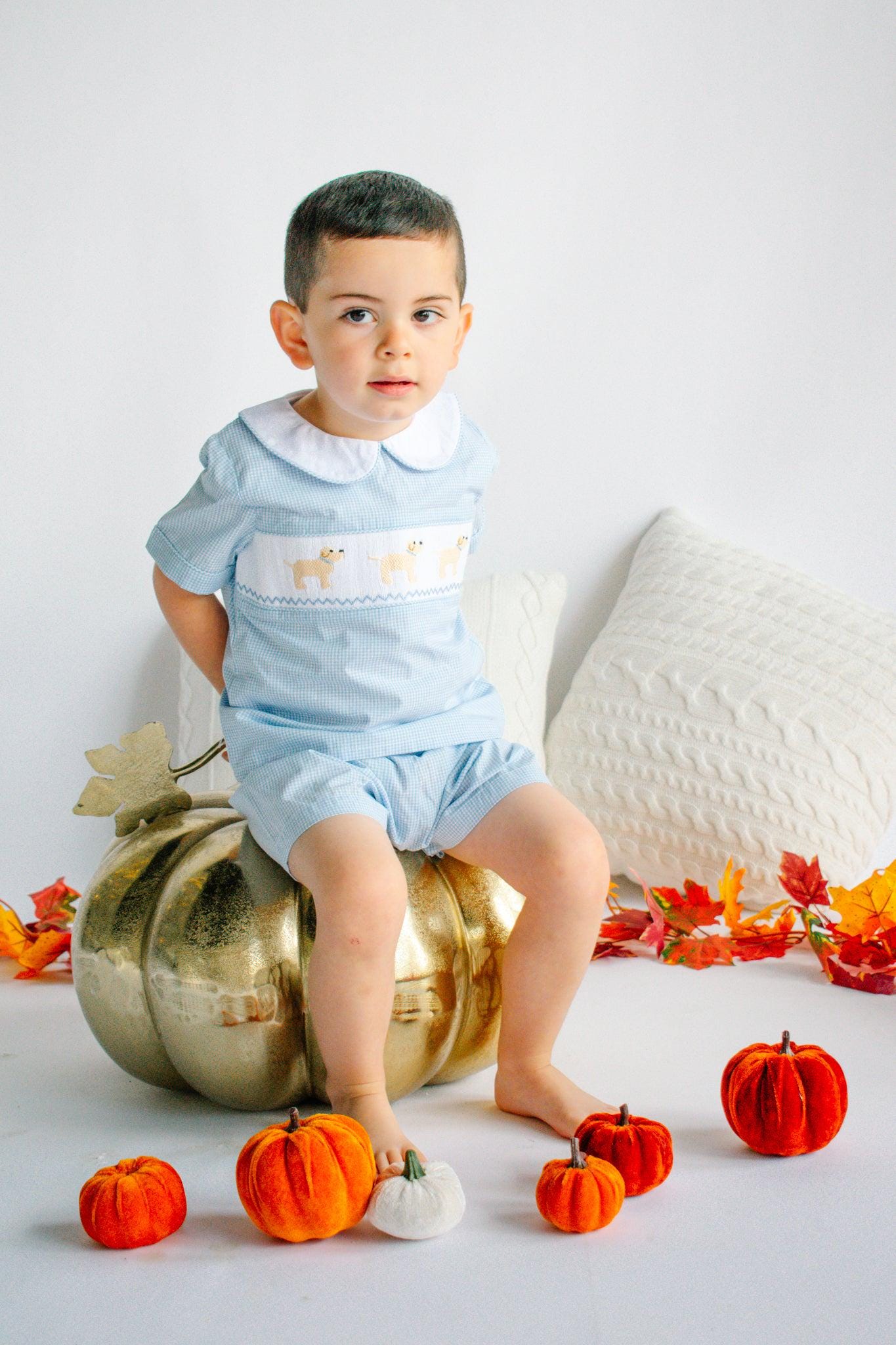 Andrew Short Set - Baker Blue Mini gingham
