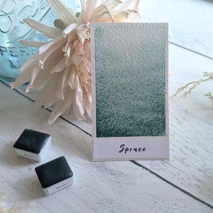 May include: A rectangular watercolour swatch card featuring a gradient of dark spruce green fading into white, with the word Spruce printed in black script at the bottom. Two small black watercolour pans are positioned to the left of the card.