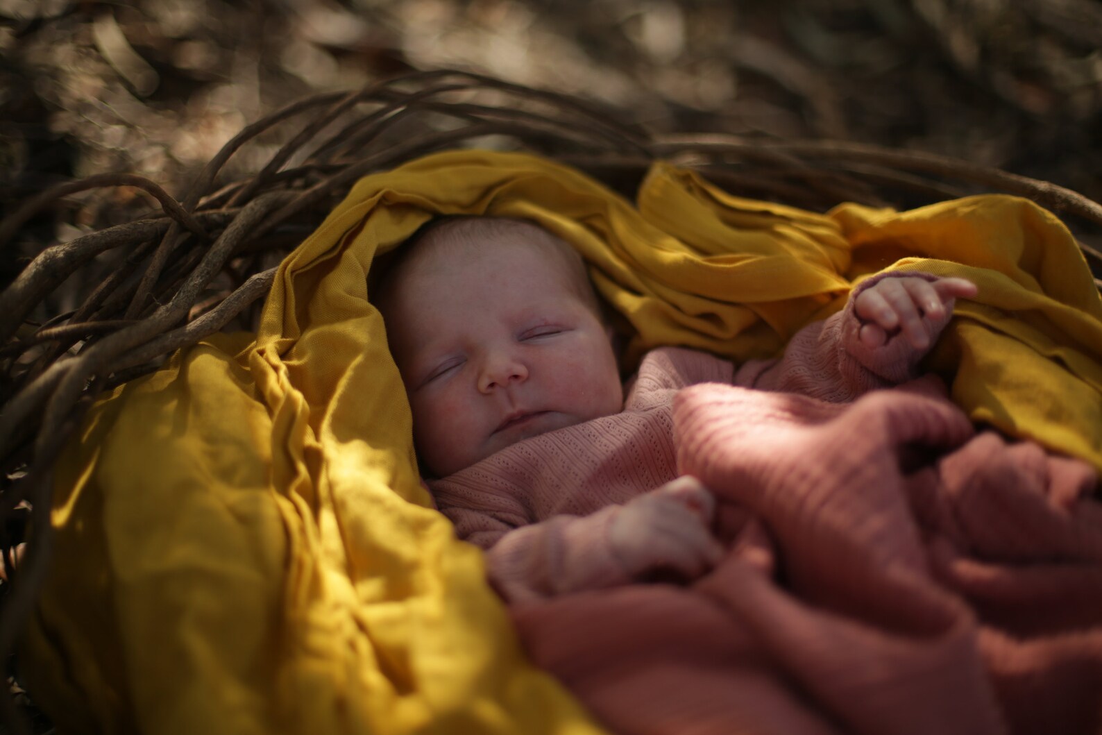 Baby Basket Photoshoot Prop 1 ONLY Etsy