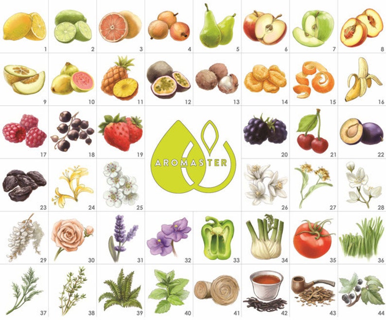 Master Wine Aroma Tasting Kit 88 Wine Aromas includes the Etsy