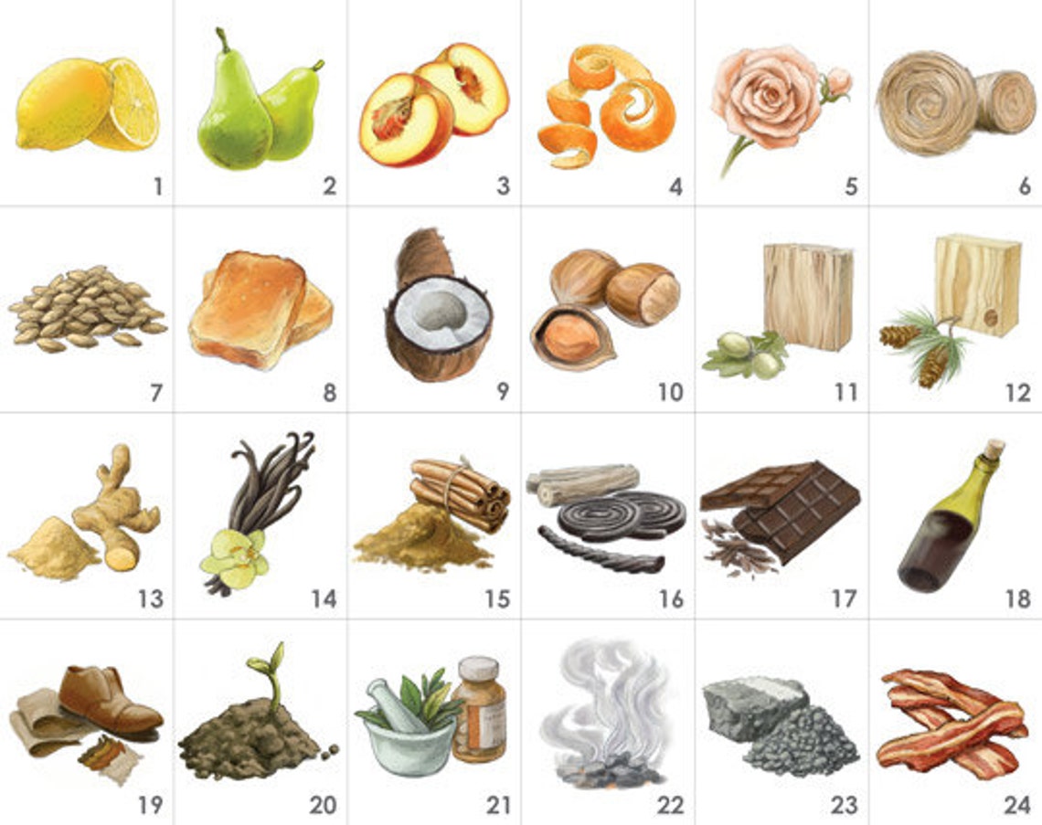 Whisky Aroma Kit 24 Aromas includes the Whisky Aroma Wheel Etsy
