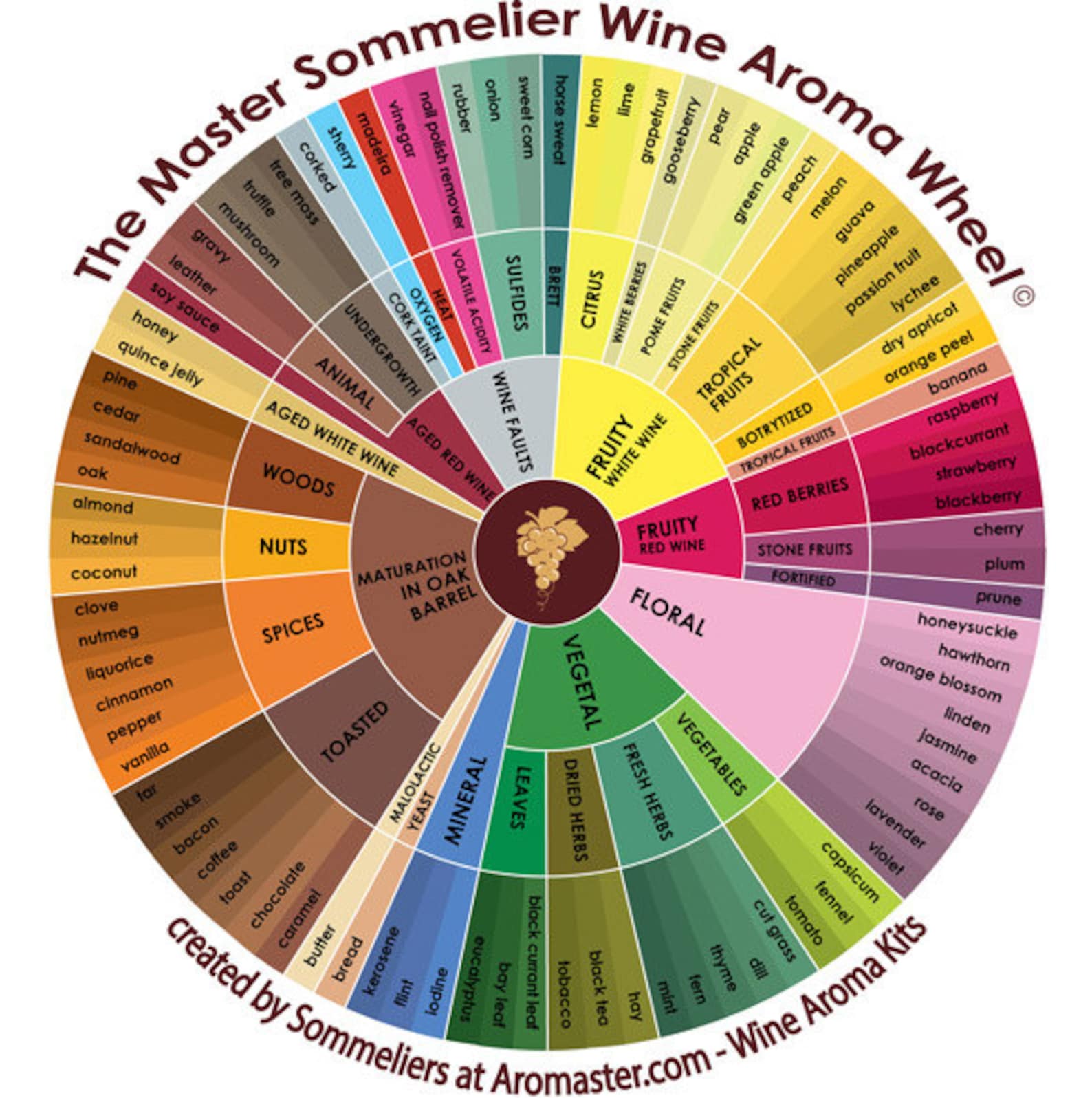 White Wine Aroma Kit 24 Aromas incl. Wine Aroma Wheel Etsy