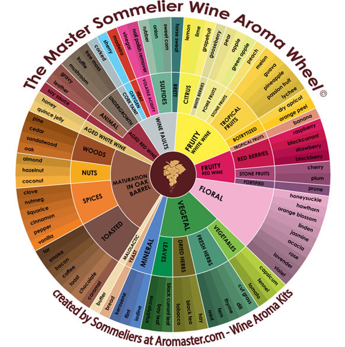 White Wine Aroma Kit 12 Aromas incl. Wine Aroma Wheel Etsy