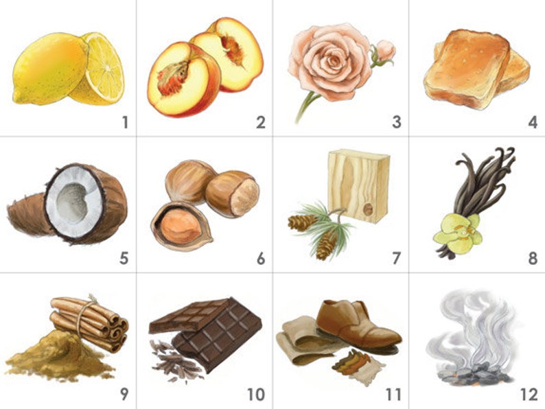 Whisky Aroma Kit 12 Aromas includes the Whisky Aroma Wheel Etsy