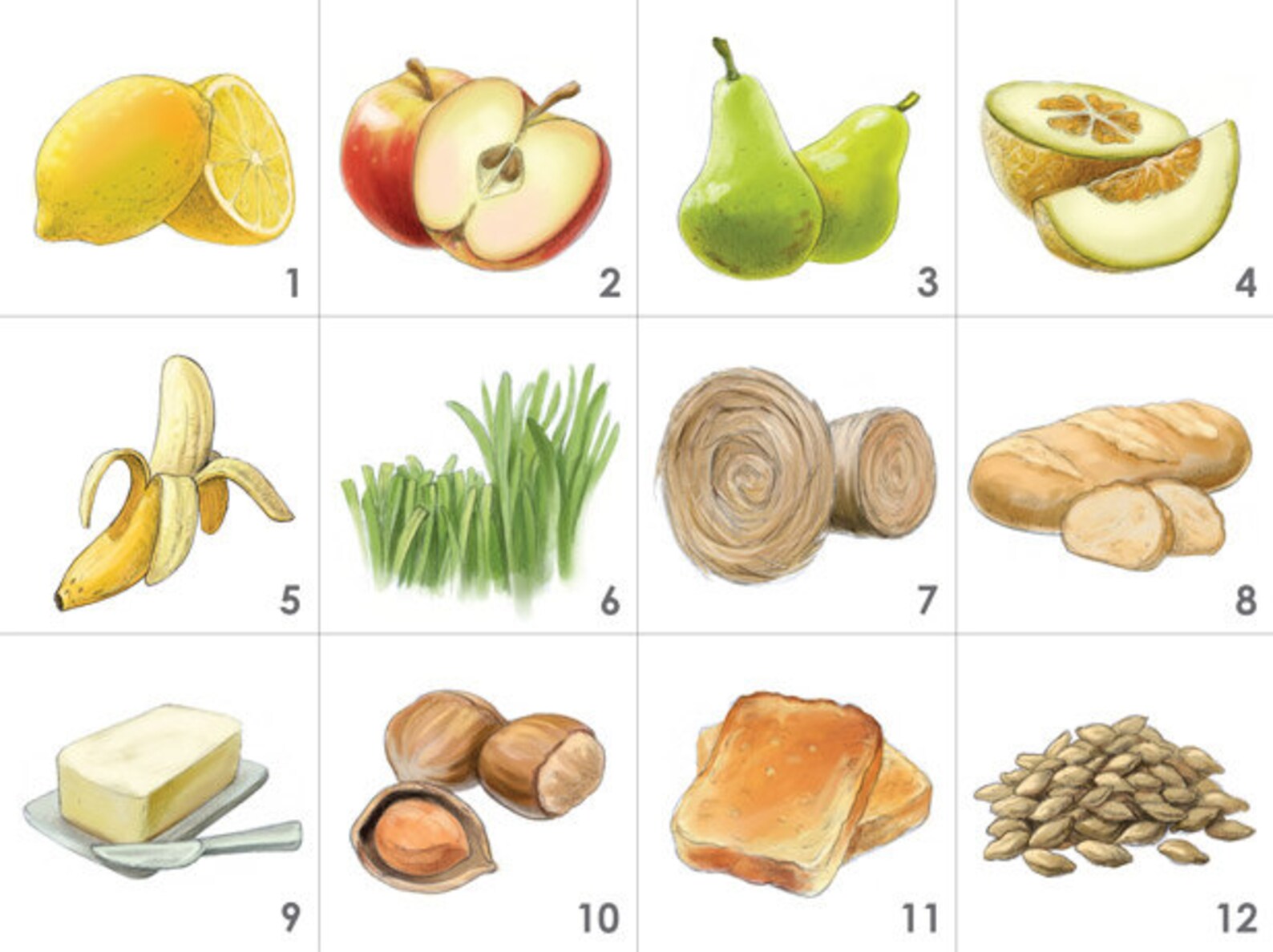 Beer Aroma Kit 12 Aromas for Beer Tasting and Education Etsy