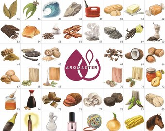 Sommelier Wine Aroma Kit by Aromaster - 88 Wine Aromas (the Wine