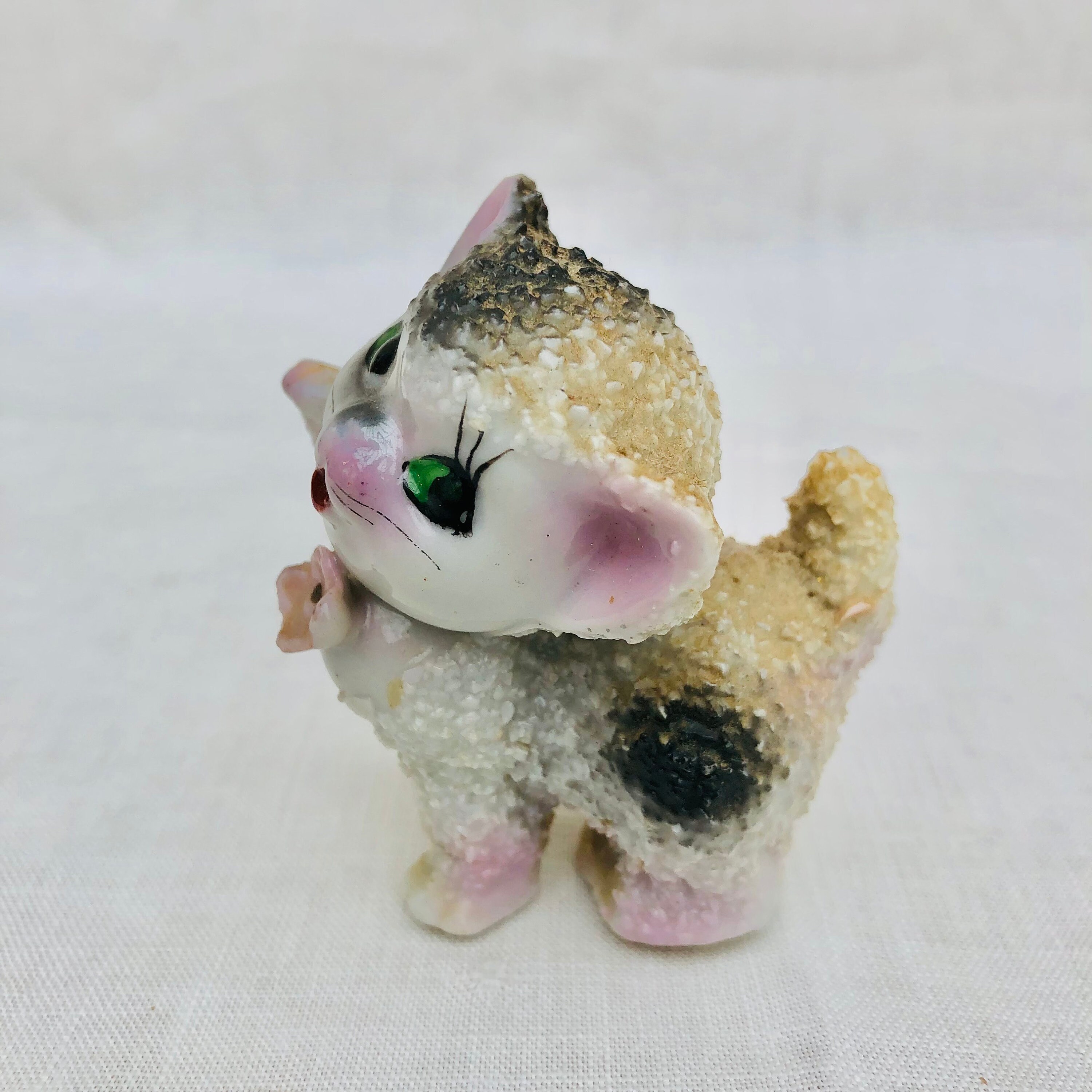版画 KITTY DISSECTION Sky net solid puzzle 4 DVISION Anatomy No.29 Cat dissection