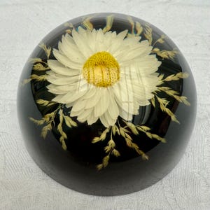 Vintage Handmade 1970s Lucite, Natural Daisy, Domed Paperweight, Retro Midcentury Home Decor.