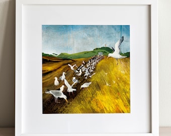 print: Harvest and gulls, Camptoun