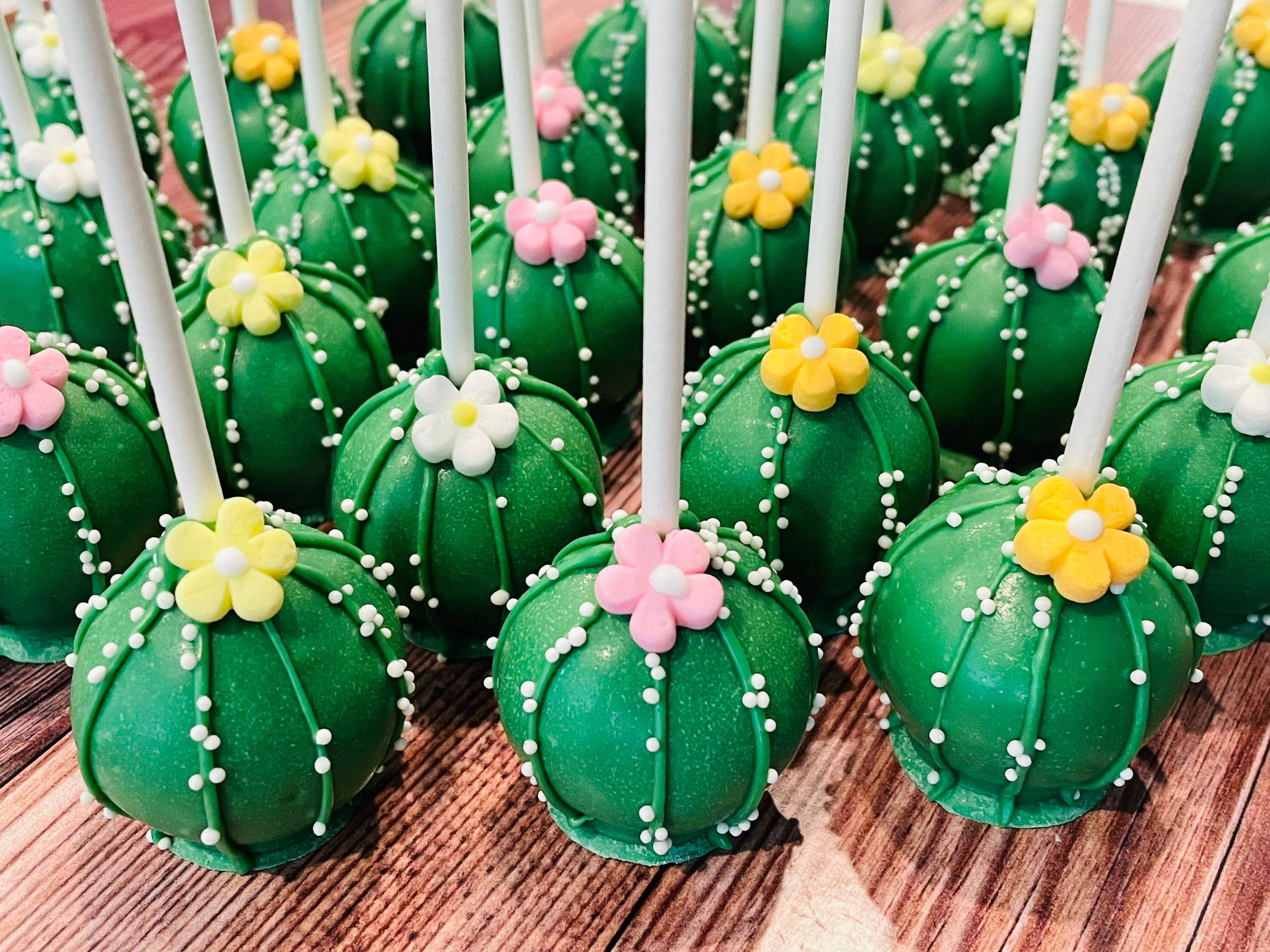 Cactus Cake Pops - Etsy