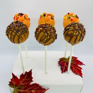 May include: Four cake pops decorated with fall-themed sprinkles and chocolate drizzle, displayed in a white box with red and gold leaves.