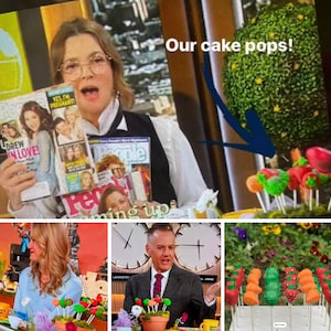 Gardening, Vegetable and Fruit Cake Pops As seen on the Drew Barrymore show~
