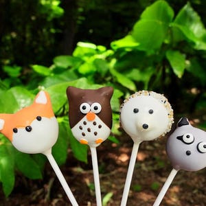 Woodland Animals, Hedgehog, Owl, Raccoon, and Fox Cake Pops