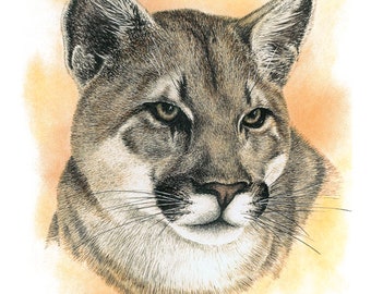 Silent Night Cougar Yellowstone National Park Giclee Art Print Poster from Original Watercolor by Artist Dave Bartholet