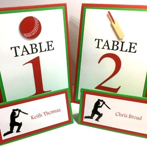 10 Cricket Place Cards, Cricket Food Labels, Escort Cards, Cricket Birthday Party, Cricket Party Decorations, Cricket Decorations