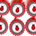 Personalized Ladybug Favor Tags, Ladybug Party, Ladybug Birthday ...