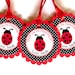 Personalized Ladybug Favor Tags, Ladybug Party, Ladybug Birthday ...