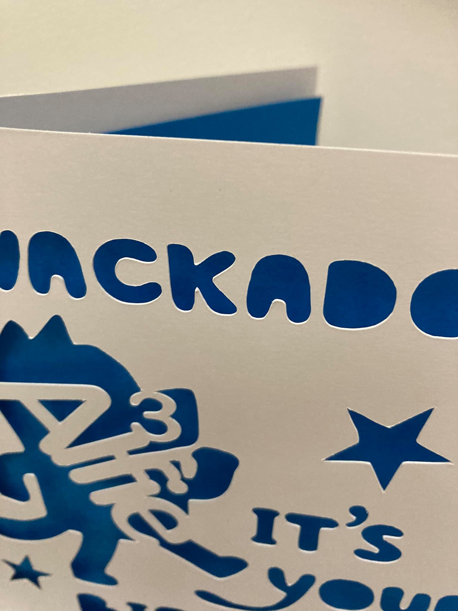 Bluey Card Bluey Birthday Card for Son Card for Daughter - Etsy Denmark