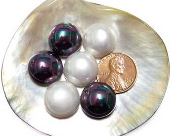 14mm Large South Sea Shell Mabe Pearls in White or Black Color, Half-drilled