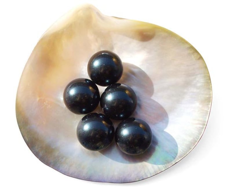 Shell Pearl Round 14mm Round AAAA Southsea Shell Pearl Half Drilled - Etsy