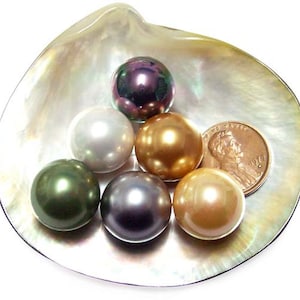 May include: A collection of lustrous, round pearls in various colors, including green, gold, and purple, displayed in a pearlescent shell. A copper penny is also present, adding a size reference. The pearls have a smooth, reflective surface.