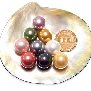 12mm Round AAAA Southsea Shell Pearl Half Drilled