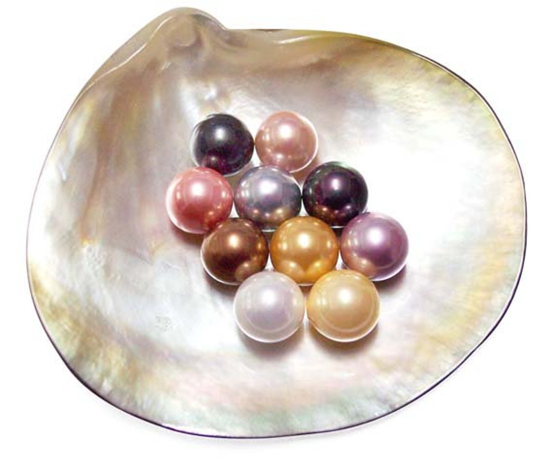 8mm Round AAAA Southsea Shell Pearls Half Drilled