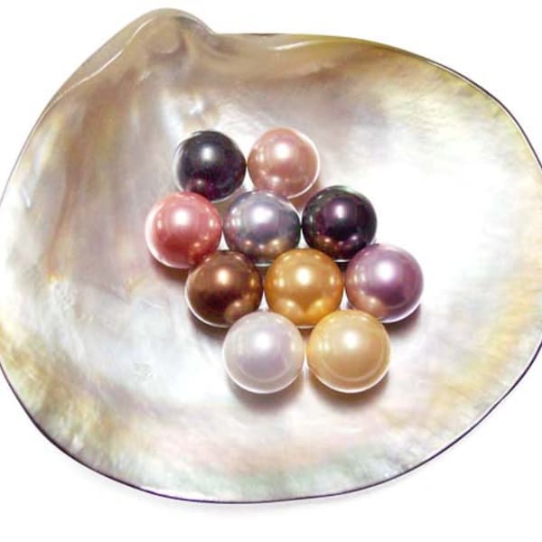 10mm Round AAAA Southsea Shell Pearl Half Drilled