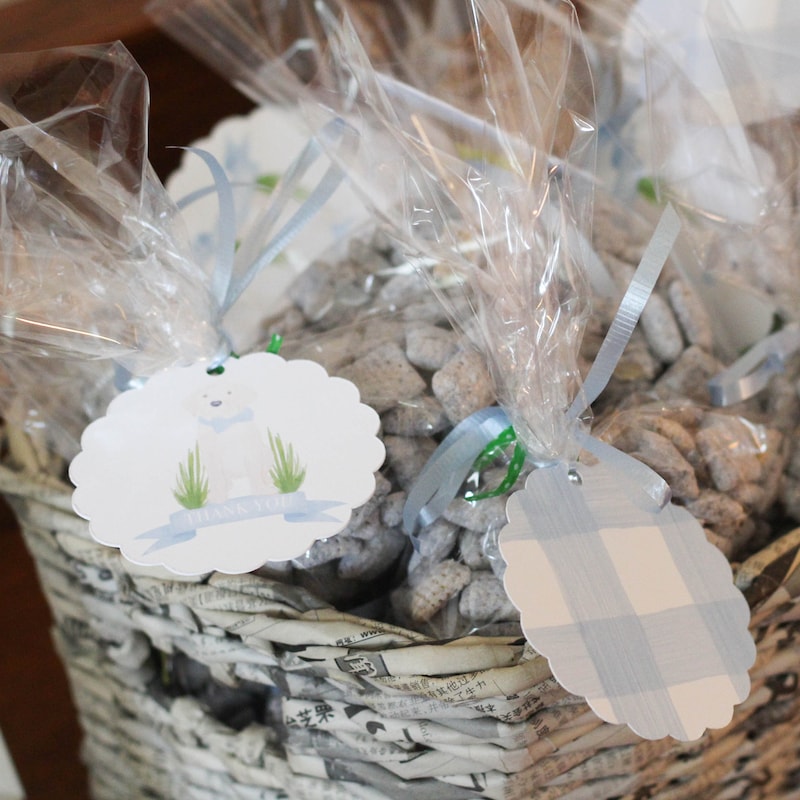 Snail Party Favor Bag - Etsy